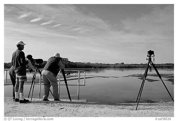 Photographers with big lenses, Ding Darling NWR, Sanibel Island. Florida, USA (black and white)