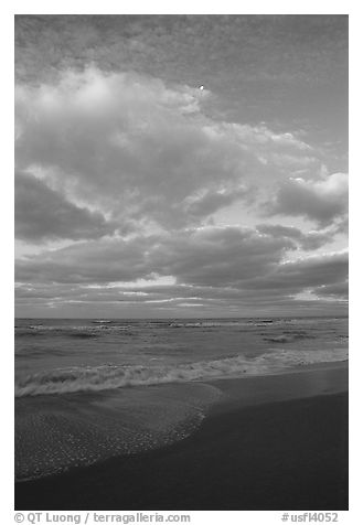 Beach at sunrise, Sanibel Island. Florida, USA (black and white)