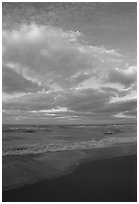 Beach at sunrise, Sanibel Island. Florida, USA (black and white)