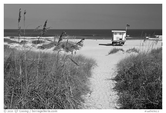 Path, dune grass, and lifeguard platform, Jetty Park. Cape Canaveral, Florida, USA (black and white)