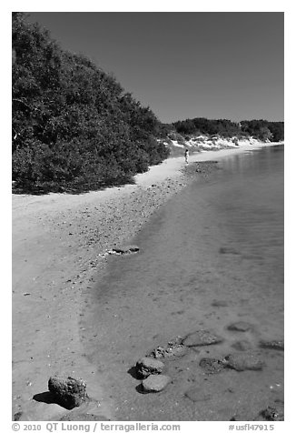 Beach on the Matanzas River, Fort Matanzas National Monument. St Augustine, Florida, USA (black and white)