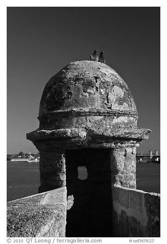 Fortified Turret, pigeons, and Matanzas Bay, Castillo de San Marcos National Monument. St Augustine, Florida, USA