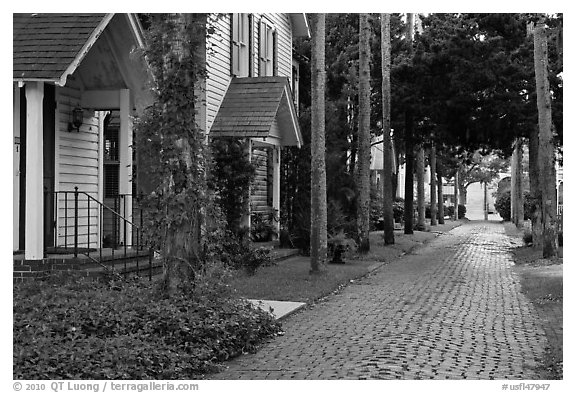 Cobblestone alley. St Augustine, Florida, USA (black and white)