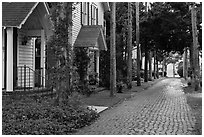 Cobblestone alley. St Augustine, Florida, USA (black and white)