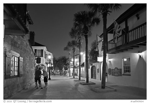 Historic street with palm trees and old buidlings. St Augustine, Florida, USA (black and white)