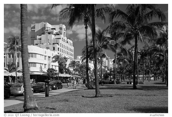 Palm trees and Art Deco hotels, South Beach, Miami Beach. Florida, USA