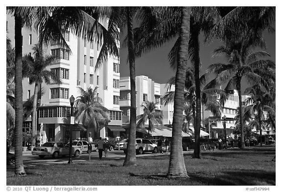 South Beach Art Deco buildings seen through palm trees, Miami Beach. Florida, USA (black and white)