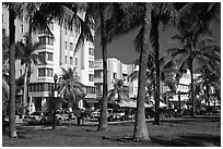 South Beach Art Deco buildings seen through palm trees, Miami Beach. Florida, USA (black and white)