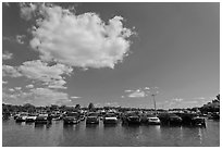 Flooded parking lot, Matheson Hammock Park. Coral Gables, Florida, USA ( black and white)