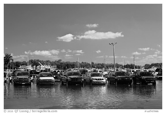 Cars in flooded lot, Matheson Hammock Park. Coral Gables, Florida, USA (black and white)