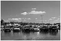 Cars in flooded lot, Matheson Hammock Park, Coral Gables. Florida, USA (black and white)