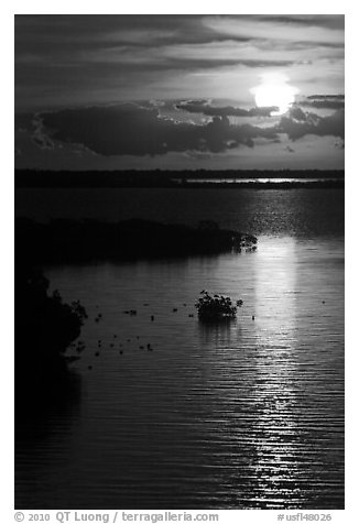 Sunrise over Atlantic shore, Sugarloaf Key. The Keys, Florida, USA (black and white)