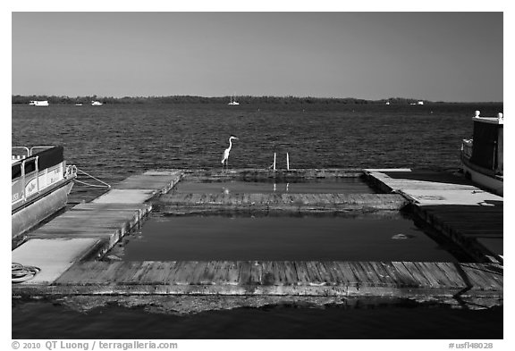 Deck and Heron, Sugarloaf Key. The Keys, Florida, USA (black and white)