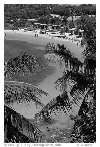 Beach and palm trees from above, Bahia Honda State Park. The Keys, Florida, USA (black and white)