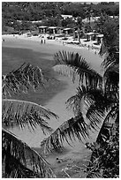 Beach and palm trees from above, Bahia Honda State Park. The Keys, Florida, USA (black and white)