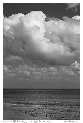 Atlantic ocean views with afternoon clouds, Matacumbe Key. The Keys, Florida, USA (black and white)