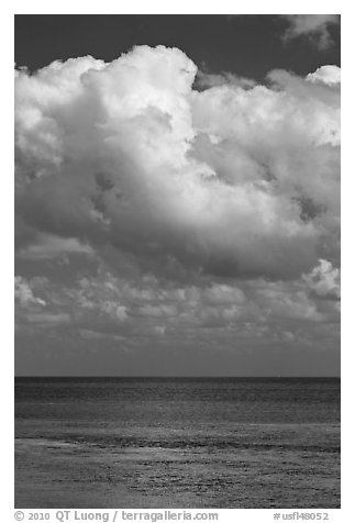 Atlantic ocean views with afternoon clouds, Matacumbe Key. The Keys, Florida, USA