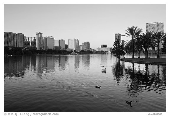 City skyline with row of palm trees at sunrise, Sumerlin Park. Orlando, Florida, USA (black and white)