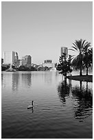 Swan, palm trees, and skyline, lake Eola. Orlando, Florida, USA (black and white)
