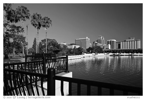 Lake Lucerne, palm trees, and downtown skyline. Orlando, Florida, USA (black and white)