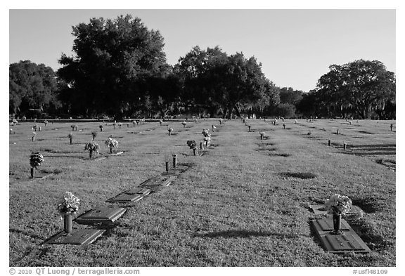 Cemetery. Orlando, Florida, USA (black and white)