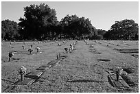 Cemetery. Orlando, Florida, USA (black and white)