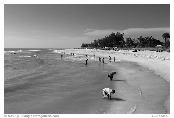 Turner Bearch, Captiva Island. Florida, USA (black and white)