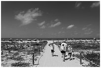 Family walking out to Bowman Beach, Sanibel Island. Florida, USA ( black and white)