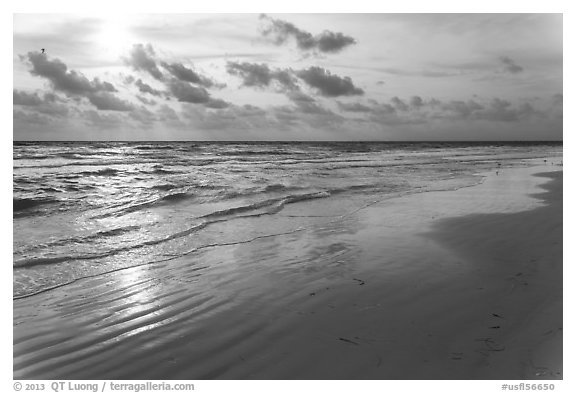 Late afternoon, Fort De Soto beach. Florida, USA (black and white)
