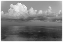 Thunderstorm clouds at dusk, Little Duck Key. The Keys, Florida, USA ( black and white)
