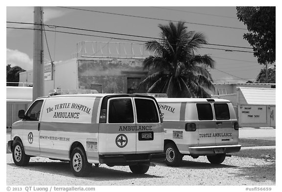 Turtle Hospital ambulances, Marathon Key. The Keys, Florida, USA (black and white)