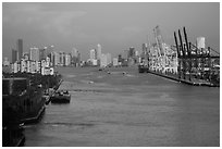 Miami port and skyline at sunrise. Florida, USA ( black and white)