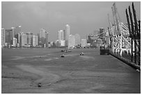 Miami harbor and skyline at sunrise. Florida, USA ( black and white)