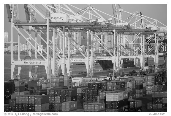 Shipping containers and cranes, Port of Miami. Florida, USA (black and white)