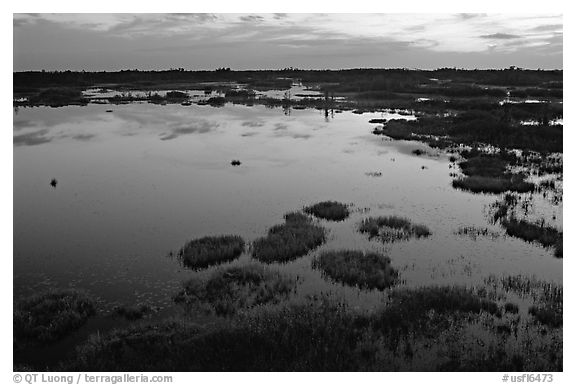 Okefenokee Swamp at sunset. Georgia, USA