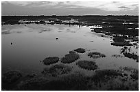 Okefenokee Swamp at sunset. Georgia, USA ( black and white)