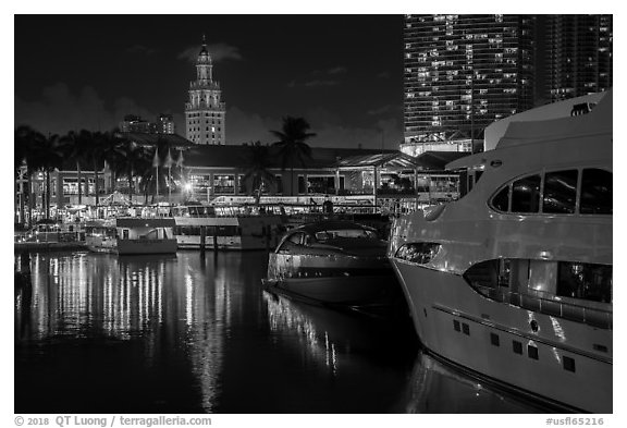 Yachts, Bayside Marketplace harbor and Freedom Tower illuminated at night, Miami. Florida, USA (black and white)