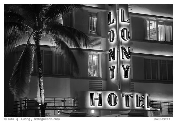 Palm tree and neon light on hotel facade, Miami Beach. Florida, USA (black and white)