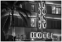 Palm tree and neon light on hotel facade, Miami Beach. Florida, USA ( black and white)