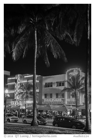 Palm treess and South Beach District Art Deco hotels at night, Miami Beach. Florida, USA (black and white)