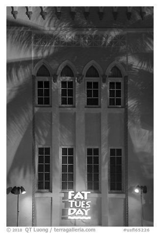 Detail of Art Deco facade with shadow of palm tree at night, Miami Beach. Florida, USA (black and white)