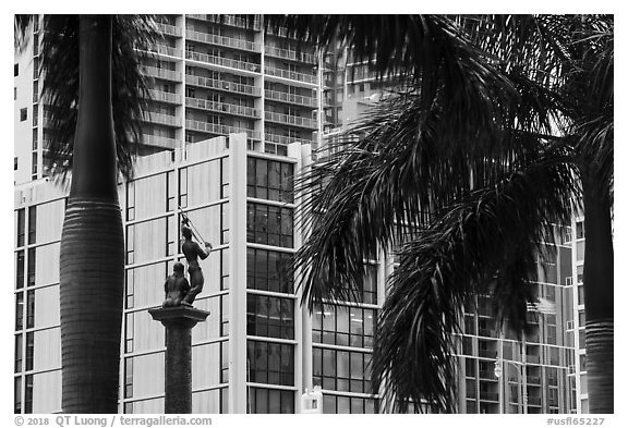 Palm tree leaves, statue, and high rises, Brickell, Miami. Florida, USA (black and white)
