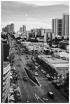 Boulevard from above, Miami Beach. Florida, USA ( black and white)