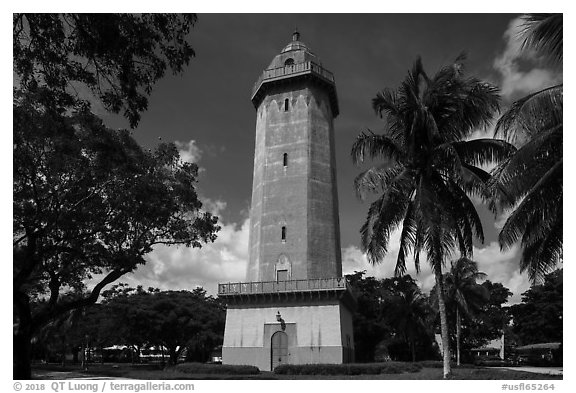 Alhambra Water Tower and trees. Coral Gables, Florida, USA (black and white)