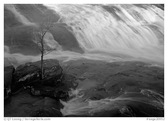 Tree and waterfall at sunrise in High Falls State Park. Georgia, USA (black and white)