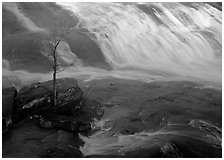 Tree and waterfall at sunrise in High Falls State Park. USA ( black and white)