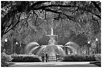 Pictures of Savannah