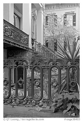 Fence and yard in front of historic house. Savannah, Georgia, USA (black and white)