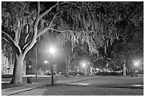 Square by night with Spanish Moss hanging from oak trees. Savannah, Georgia, USA (black and white)