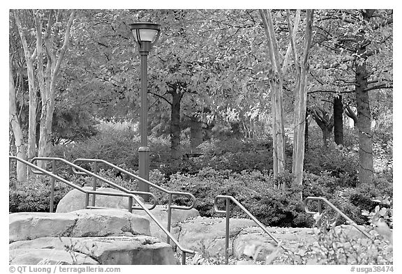 Railings, lamp, and trees in autumn colors, Centenial Olympic Park. Atlanta, Georgia, USA